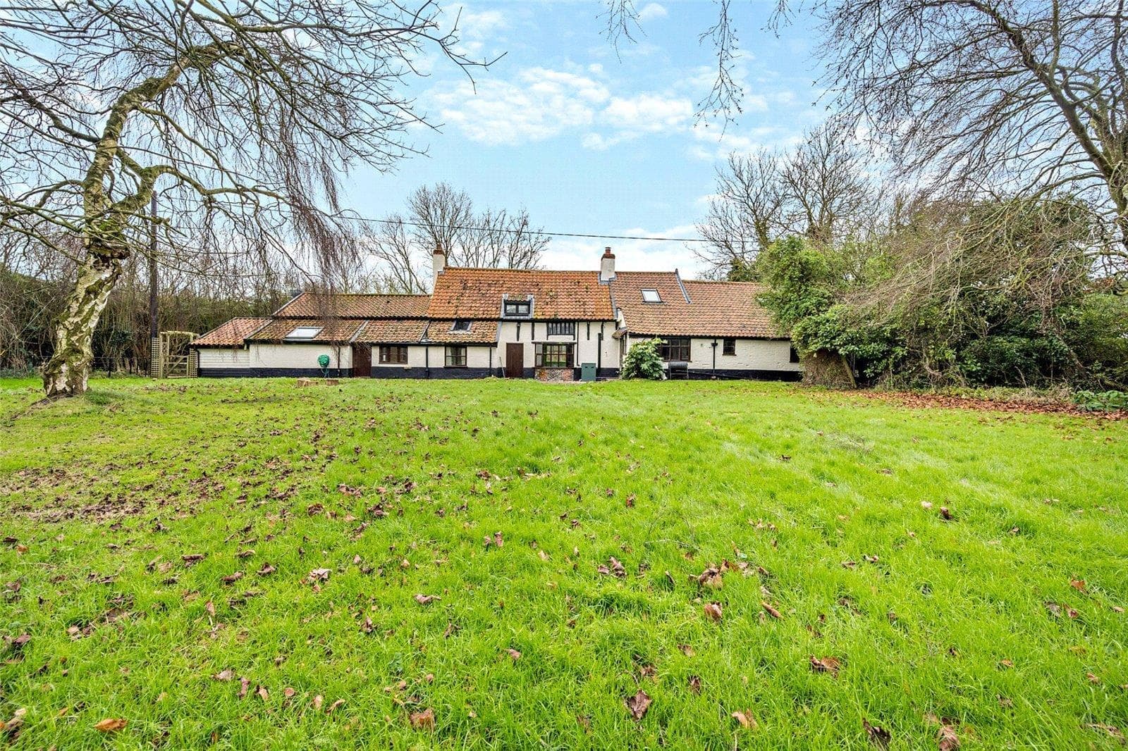 The rear garden at The Sawyers, a wide lawn running up to the back of the house under mature trees